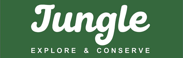 logo-jungle